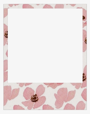 Source - - Polaroid Frame Transparent #261010