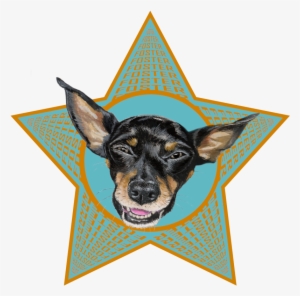 About Me - × - × - × - × - × - × - × - × - × - Dog #261052