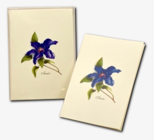 Shopping Cart -  -  - Iris #261296