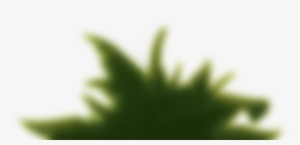 “this Is By Far The Best Beginners Ukulele App I Have - Macro Photography #261638