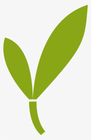 Main Logo - Bamboo Logo Png Transparent #262317