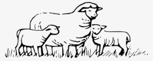 Lamb Clipart Shep - Sheep And Lamb Outline #262658