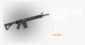 Del Ton Rifle Kits & Del Ton Ar 15 Rifles - Rifle #263380