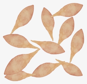 Watercolour Petals Watercolour, Pen And Wash, Watercolor - Hop Hornbeam #263581