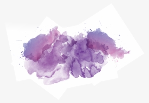 000 Days - Cattleya #263611