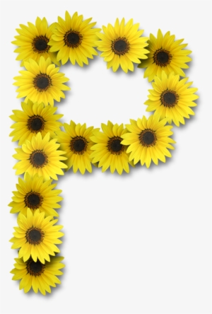 Alfabeto Sunflowers - Letter S With Sunflower #263632