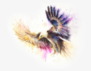 Paintings Of Eagle Flying #263694