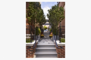 Depaul Courtyard Garden #264150