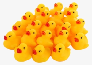 Duck Army - Lots Of Rubber Ducks #265016