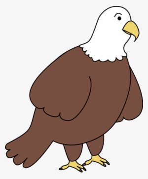 Bald - Eagle - Clip - Art - Bald Eagle Clip Art #265334