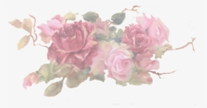 This Site Is Under Construction Meanwhile Visit My - Hybrid Tea Rose #266039