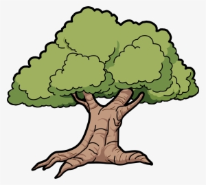 Banner Royalty Free Library Collection Of Tree Png - Oak Clipart #266415