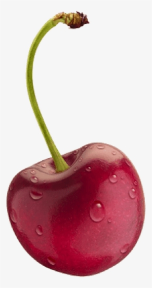 Isolated Cherry With Water - Como Se Dice Cereza En Inglés #266955