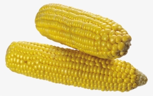 Corn Png Image Corn Png Image - Transparent Background Corn Transparent #267492