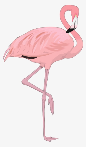 Clipart - Transparent Background Flamingo Png #267668