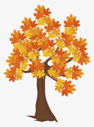 Fall Tree Png Image - Drawing Of Autumn Tree #268336