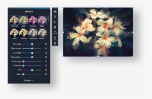 Blur Editor Preview - Grandfailure 'white Flowers In Dark' Canvas Gallery #268408