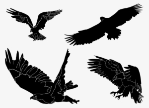 19 Eagles Svg Stock Mascot Huge Bie For Powerpoint - Clip Art #268445