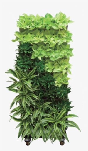 Green Wall Png Transparent Green Wall Png Image Free Download Pngkey