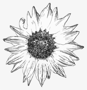 Just Right Click And Save The Png File - Free Digital Stamps #269458