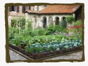 So This Is My New Project - Garden #269660