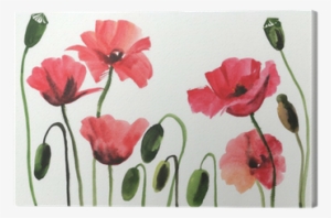 Watercolor Painting Of Red Poppies Canvas Print • Pixers® - Papavero Watercolor #269750