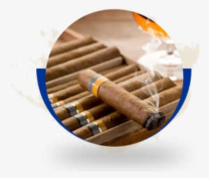 1787017 - Cuban Tobacco #269972