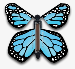 Sky Blue Monarch Magic Flying Butterfly - Greeting Card #2600392