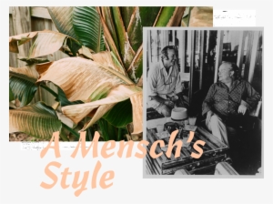 Mensch-style - Human #2602016