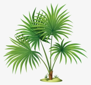 Яндекс - Фотки - Palm Tree Leaves Clipart #2602235