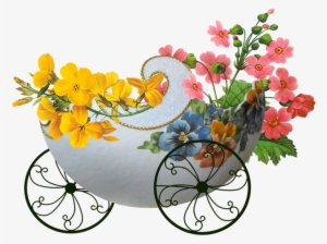 Free Photo Gallery, Tube, Bucket, Flowers, Image, Polyvore, - Pierre-joseph Redoute Botanical Note Cards (pk #2602263