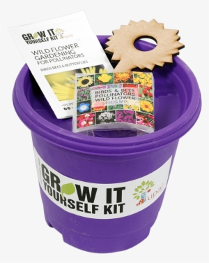 Birds & Bees Pollinators Giy Kit - Bee #2602299