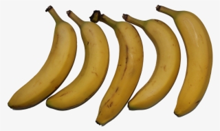 Fruit, Banana, Png, Fresh, Food, Healthy, Organic, - Png Bananes #2602365