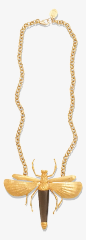 63 Mani Malai - Facebook #2602761