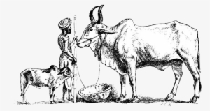 Our Flowers Services - Short Film #2602999