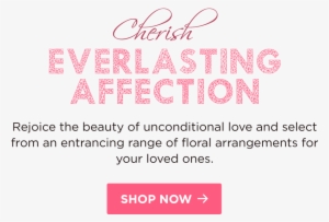 Order Flowers Online In Sri Lanka, Send Gifts In Sri - Sri Lanka #2603003