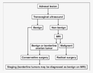 Maging Algorithm For Diagnosis Of Borderline Tumors - Science #2603470