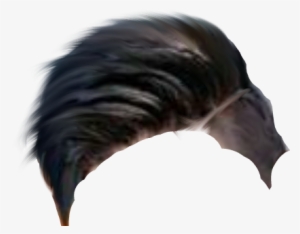 Cb Hair Png - Wild Turkey #2603665