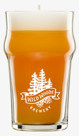 Nonic Craft Beer Candle - 15066 - Avianat Vale Double Wall Stainless Pint - 16 #2603738