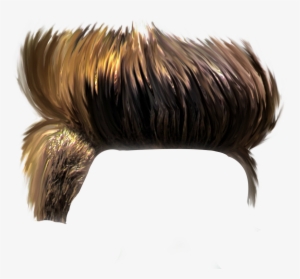 Sample Hair For Boy 28 Hair Png - हेयर Png #2603798