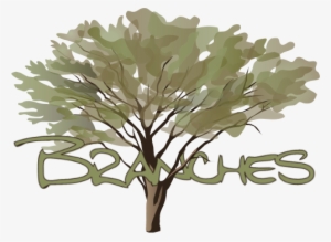 The Classes In Our Branches Series Are Shaped For Current - Nitrogen Fixing Trees #2604771