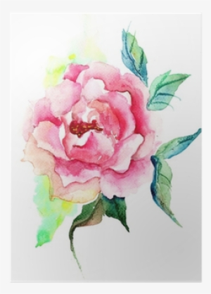 Beautiful Roses Flowers, Watercolor Painting Poster - Watercolor Painting #2605820