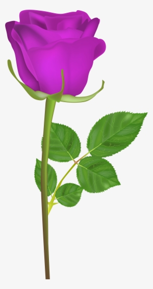 Rose With Stem Purple Png Clip Art Imageu200b Gallery - Good Morning Hd Gif 2018 #2605904