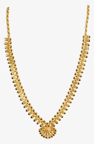 Gold Show Chain #2607410