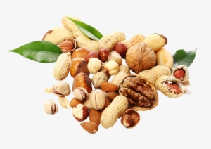 Dryfruits Sourced From Best Origins From All Parts #2607488