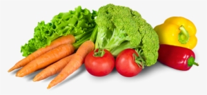 Welcome - Healthy Choices Healthy Voices: Practical Ways For #2607898
