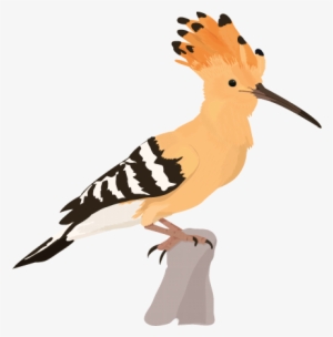 Week / Bird - Hoopoe Clipart #2608108 Week / Bird - Hoopoe Clipart #2608108