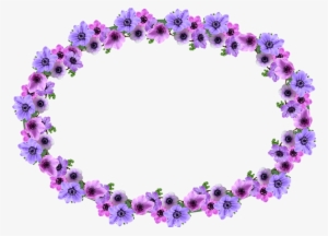 Frame, Border, Anemone, Oval, Decoration - Stock.xchng #2609014