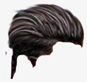 Cb Hair Png - Kilometre #2609095