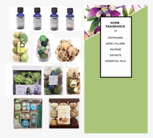 Passion Flower #2609117